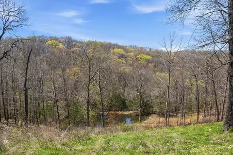View/Area - 1329 S State Highway Uu, Chadwick, MO 65629 photo 3 of 5