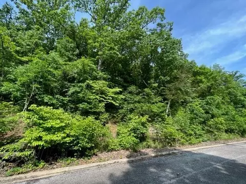 lot29 Hill Haven Rd, Hollister, MO 65672