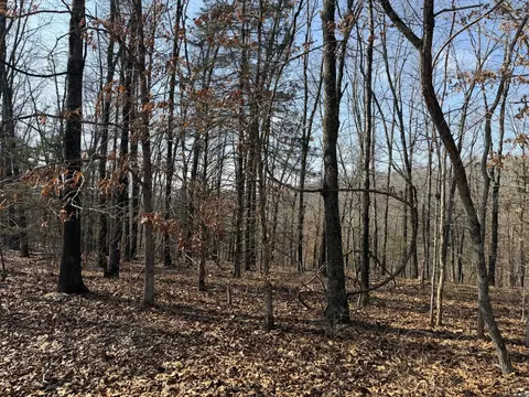 lot112 Walnut Springs Dr, Cape Fair, MO 65624