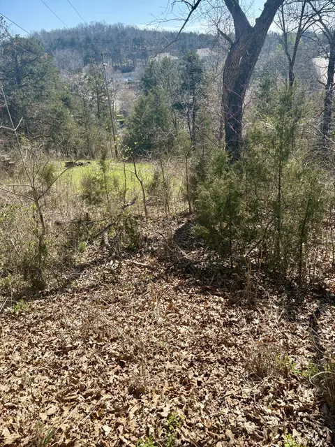 180 Green Briar Dr, Branson, MO 65616