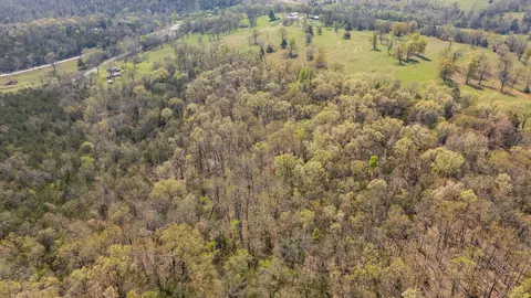 000 Protem Cedar Creek Rd, Protem, MO 65733 photo 28