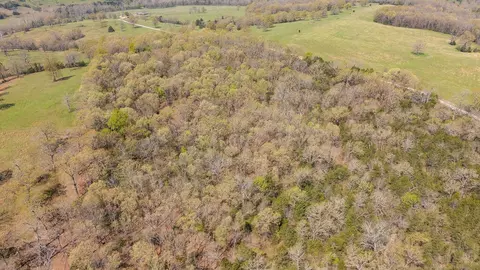 000 Protem Cedar Creek Rd, Protem, MO 65733 photo 32