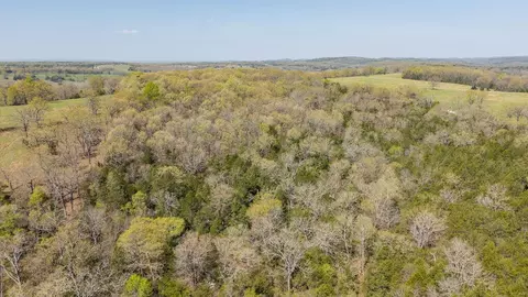 000 Protem Cedar Creek Rd, Protem, MO 65733 photo 33