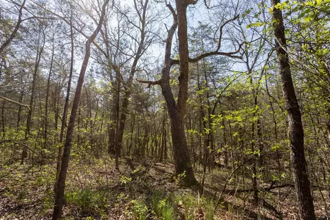 000 Protem Cedar Creek Rd, Protem, MO 65733 photo 3