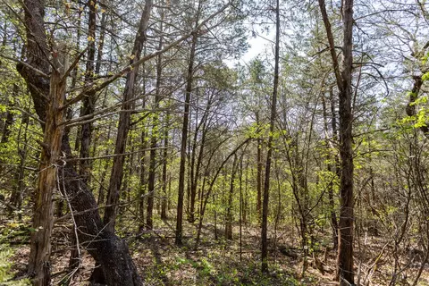 000 Protem Cedar Creek Rd, Protem, MO 65733 photo 13
