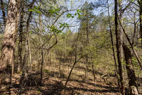 000 Protem Cedar Creek Rd, Protem, MO 65733 photo 8