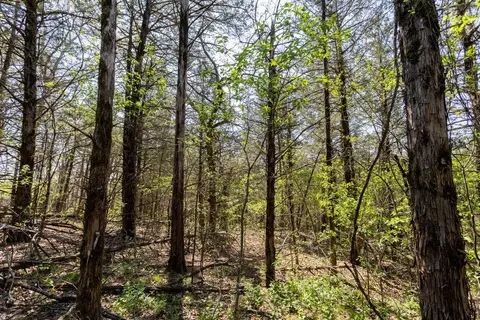 000 Protem Cedar Creek Rd, Protem, MO 65733 photo 16