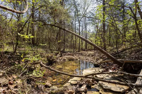 000 Protem Cedar Creek Rd, Protem, MO 65733 photo 7