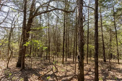 000 Protem Cedar Creek Rd, Protem, MO 65733 photo 17