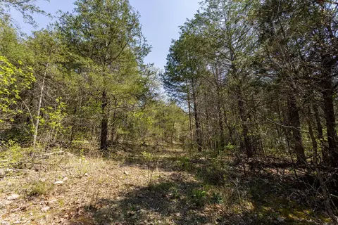 000 Protem Cedar Creek Rd, Protem, MO 65733 photo 12