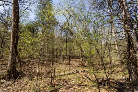 000 Protem Cedar Creek Rd, Protem, MO 65733 photo 4