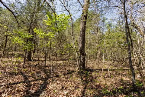 000 Protem Cedar Creek Rd, Protem, MO 65733 photo 9