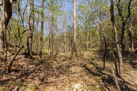 000 Protem Cedar Creek Rd, Protem, MO 65733 photo 6