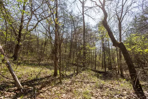 000 Protem Cedar Creek Rd, Protem, MO 65733 photo 5