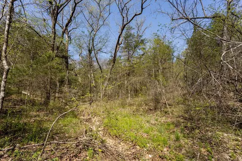 000 Protem Cedar Creek Rd, Protem, MO 65733 photo 10