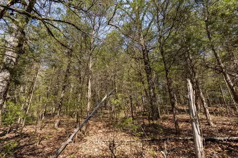 000 Protem Cedar Creek Rd, Protem, MO 65733 photo 14