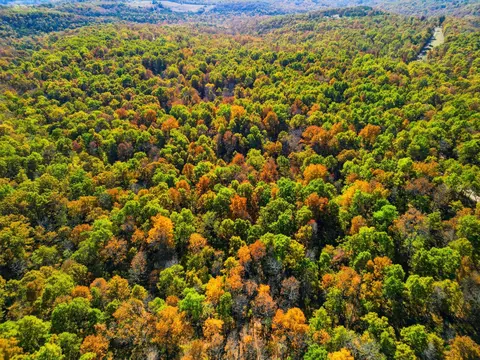 000 County Road 517, Hardenville, MO 65666