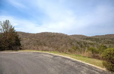 lot8 Silver Oak Pl, Branson West, MO 65737 photo 15