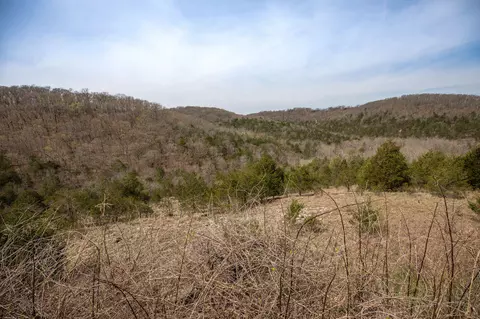 lot8 Silver Oak Pl, Branson West, MO 65737