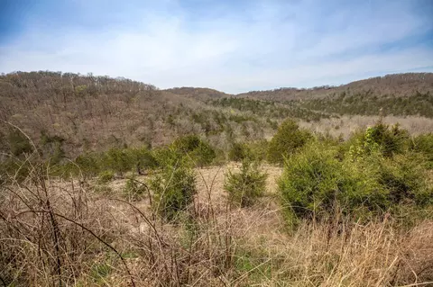 lot8 Silver Oak Pl, Branson West, MO 65737 photo 13