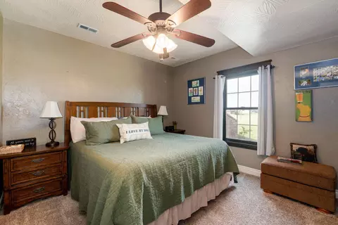 336 Penner Ln, Ozark, MO 65721 photo 44
