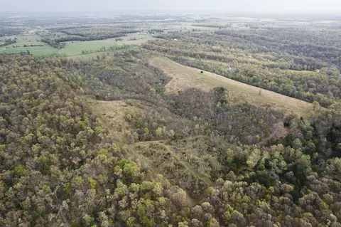 tbd Buckeye Ln, Stella, MO 64867 photo 6