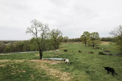 tbd Buckeye Ln, Stella, MO 64867