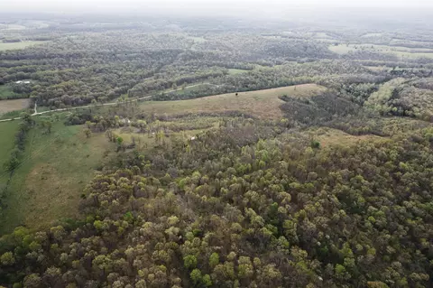 tbd Buckeye Ln, Stella, MO 64867 photo 3