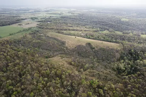 tbd Buckeye Ln, Stella, MO 64867 photo 5