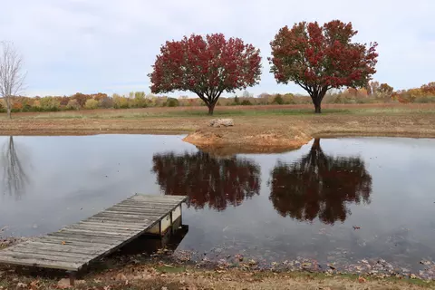 View/Area - 3109 Brinkley Rd, Marshfield, MO 65706 photo 3 of 8