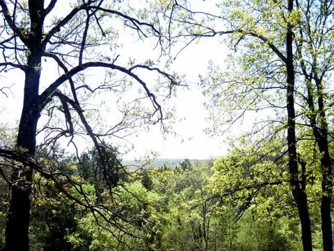 View/Area - 361 Mckee Dr, Cedarcreek, MO 65627 photo 1 of 2