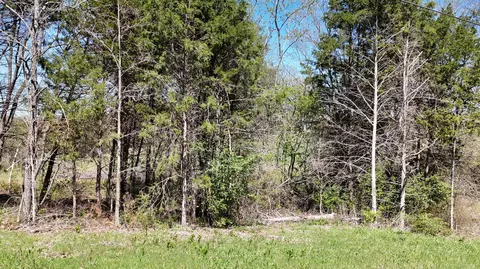 lot Apt 17 Farm Road 2262, Golden, MO 65658