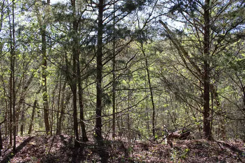 lot Apt 25 Gumbo Woods, Shell Knob, MO 65747 photo 3
