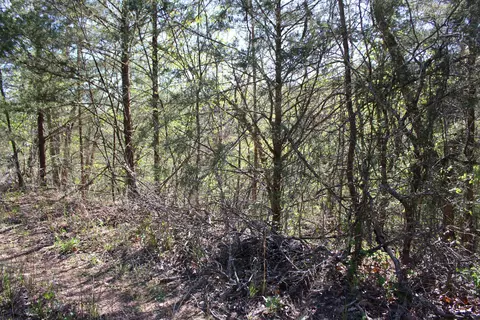 lot Apt 25 Gumbo Woods, Shell Knob, MO 65747 photo 2