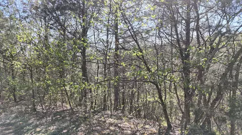 lot Apt 46 Gumbo Woods, Shell Knob, MO 65747