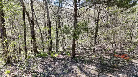 lot Apt 46 Gumbo Woods, Shell Knob, MO 65747 photo 3