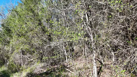 lot Apt 50 Gumbo Woods, Shell Knob, MO 65747