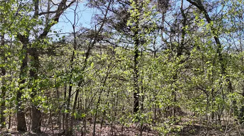 lot Apt 94 Gumbo Woods, Shell Knob, MO 65747 photo 2