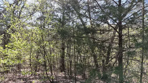 lot Apt 94 Gumbo Woods, Shell Knob, MO 65747 photo 3