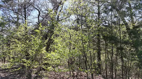 lot Apt 94 Gumbo Woods, Shell Knob, MO 65747