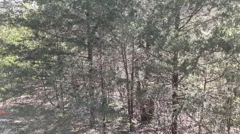 lot Apt 94 Gumbo Woods, Shell Knob, MO 65747 photo 4