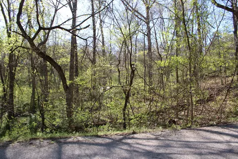 lot Apt 308 Elm Ln, Shell Knob, MO 65747 photo 2
