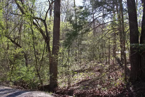 lot Apt 308 Elm Ln, Shell Knob, MO 65747