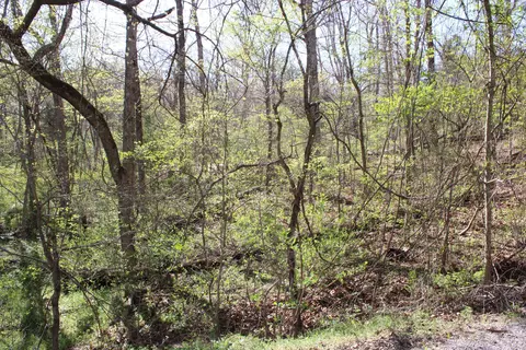 lot Apt 308 Elm Ln, Shell Knob, MO 65747 photo 4