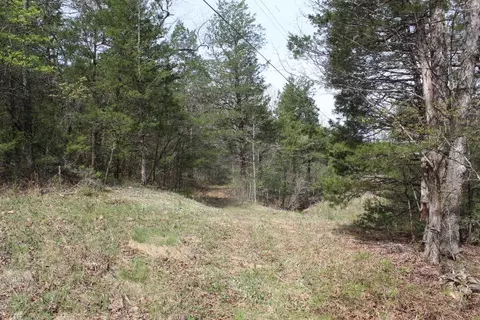 000 County Road 831, Gainesville, MO 65655 photo 27