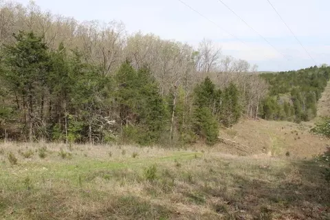 000 County Road 831, Gainesville, MO 65655 photo 39