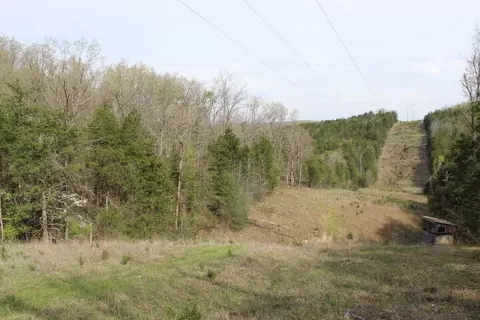 000 County Road 831, Gainesville, MO 65655 photo 3