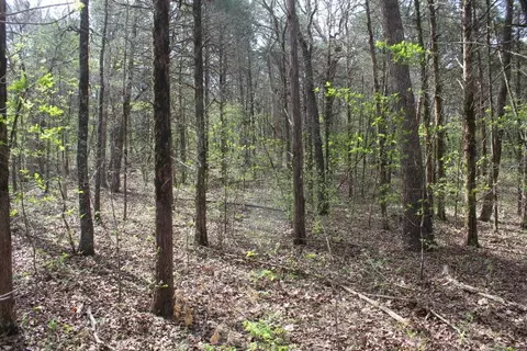 000 County Road 831, Gainesville, MO 65655 photo 26