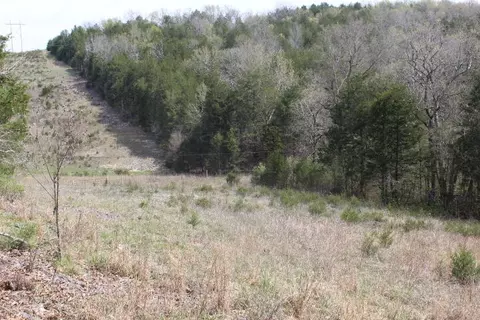 000 County Road 831, Gainesville, MO 65655 photo 30