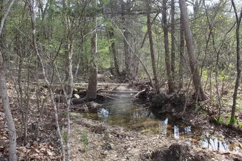 000 County Road 831, Gainesville, MO 65655 photo 20